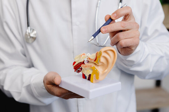ENT specialist consultation